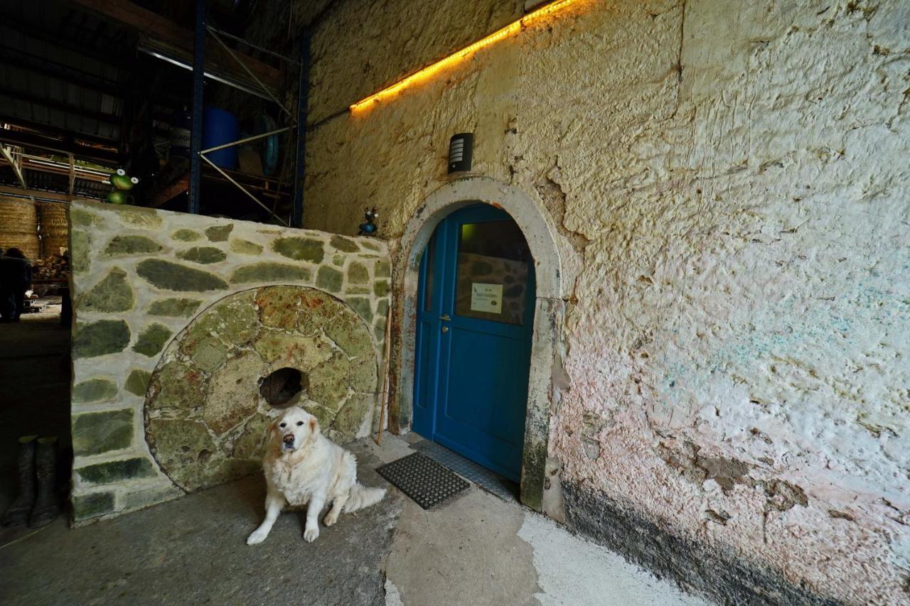 Room In Farmhouse Berkel Bockholtz 外观 照片